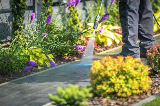 Best Restaurant Pressure Washing  in Harrisville, UT